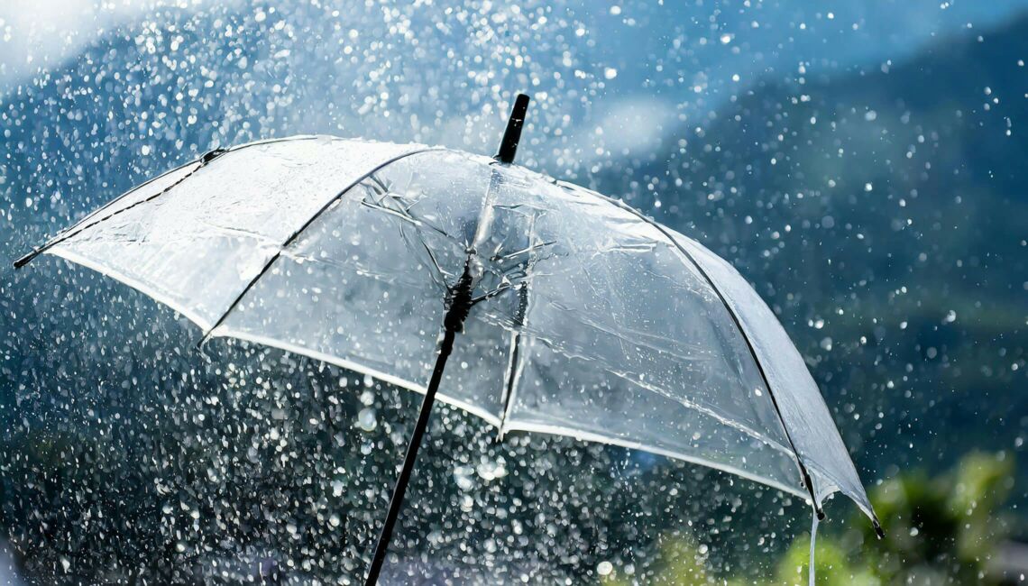 Regenwasser auf dem eigenem Grundstück versickern