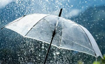 Vorteile der dezentralen Regenwasserversickerung